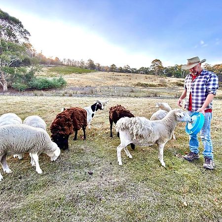 Hamlet Downs Country Accommodation Fentonbury Exteriér fotografie