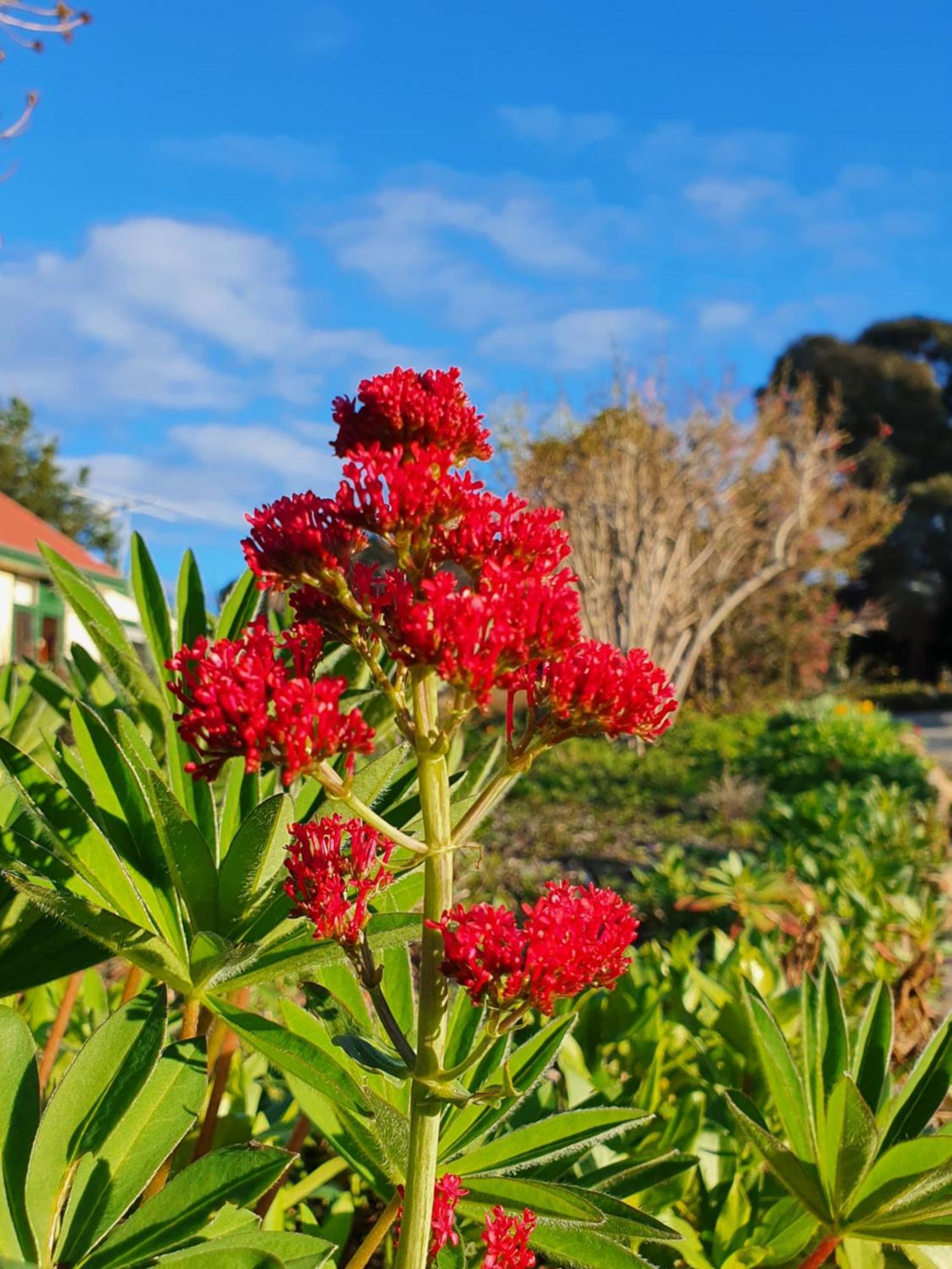 Hamlet Downs Country Accommodation Fentonbury Exteriér fotografie