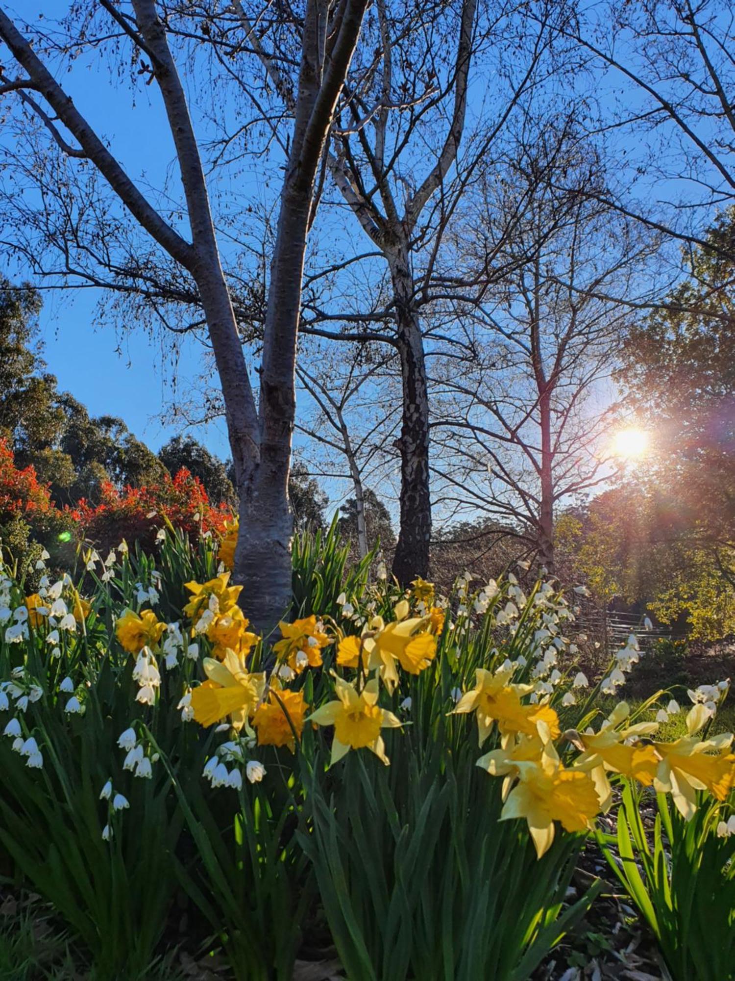 Hamlet Downs Country Accommodation Fentonbury Exteriér fotografie
